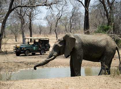 Majete Wildlife Reserve